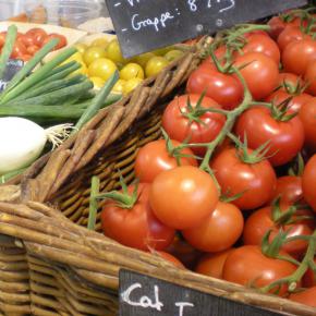 tomates tentations