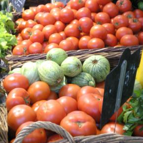 tomates classiques