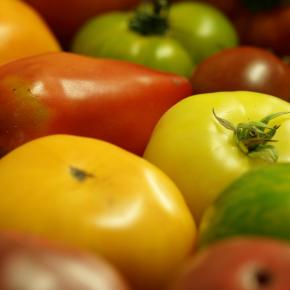 tomates anciennes