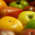 tomates anciennes