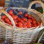 tomates cerises rouges