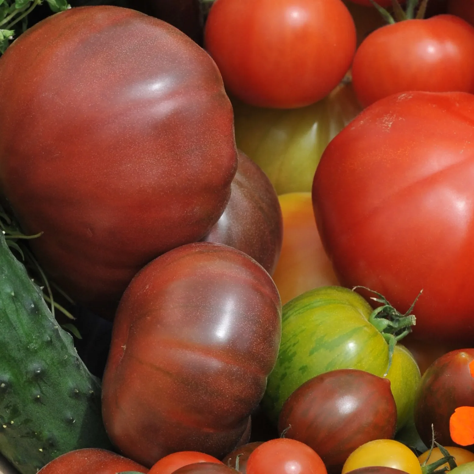 accueil 18 Anciennes