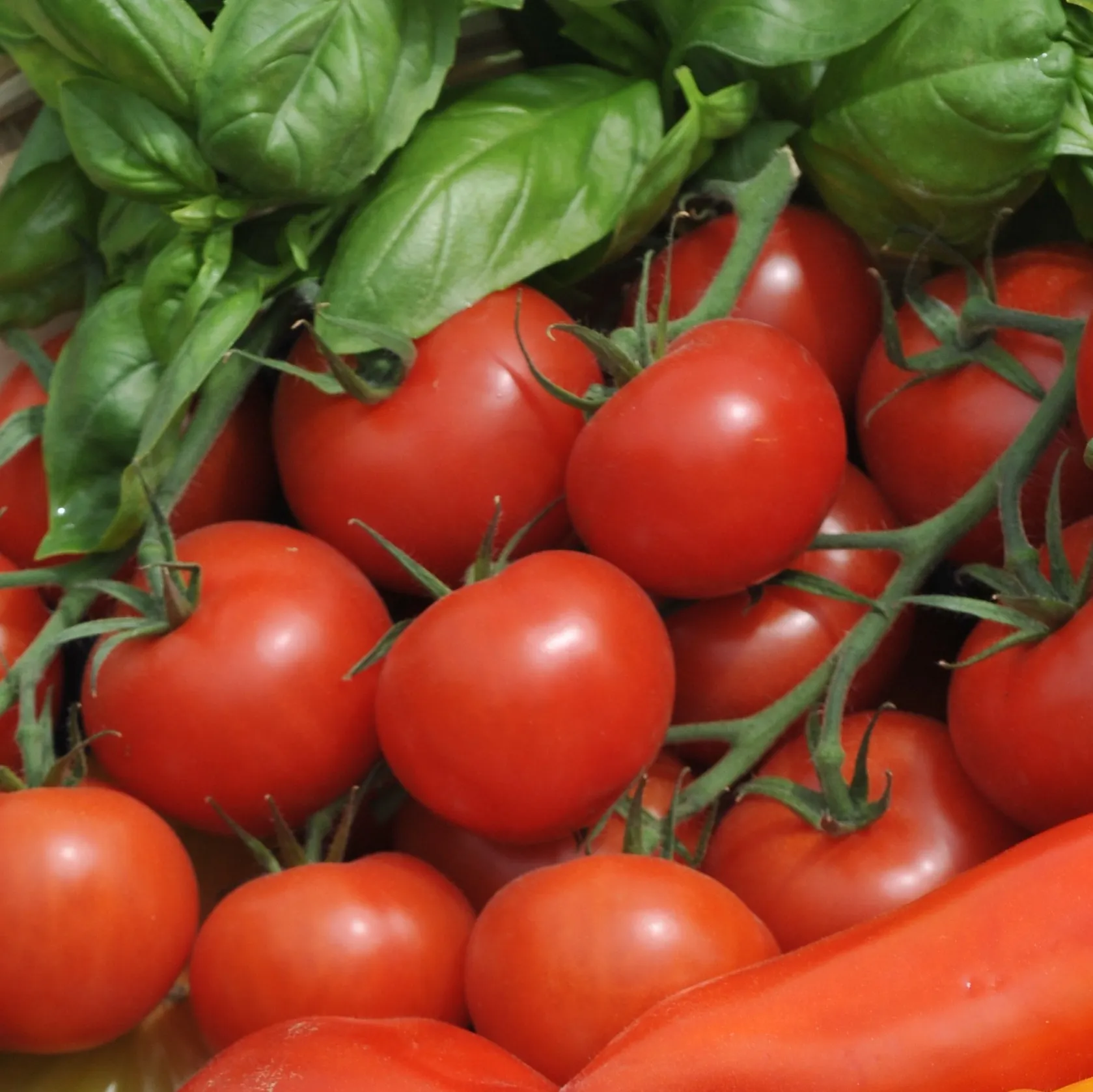 accueil 17 Classiques