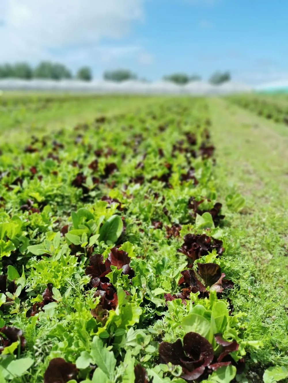 accueil 21 huitric 4