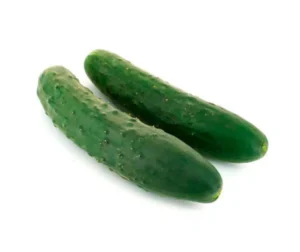 Concombre