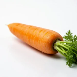 Carotte printemps