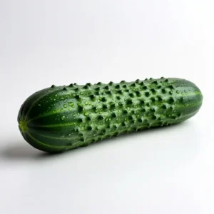 Mini concombre