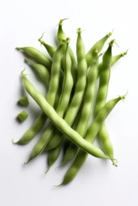 Haricot vert