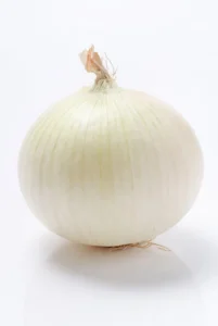 Oignon diversification