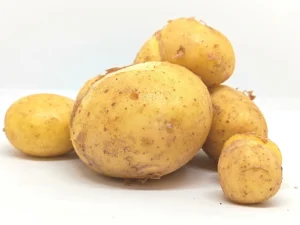 Pomme de Terre Nouvelle