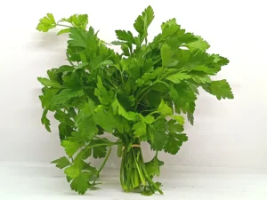 Persil Plat / frisé