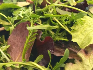 Mesclun