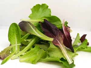 Mesclun