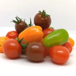 Tomate Cerise