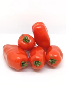 Tomate San Marzano