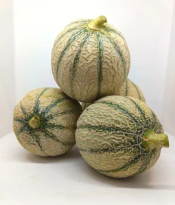 Melon