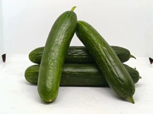 Mini concombre