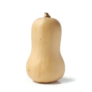 Butternut